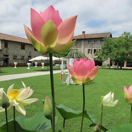 Agriturismo Il Vagabondo Buttrio Buitenkant foto
